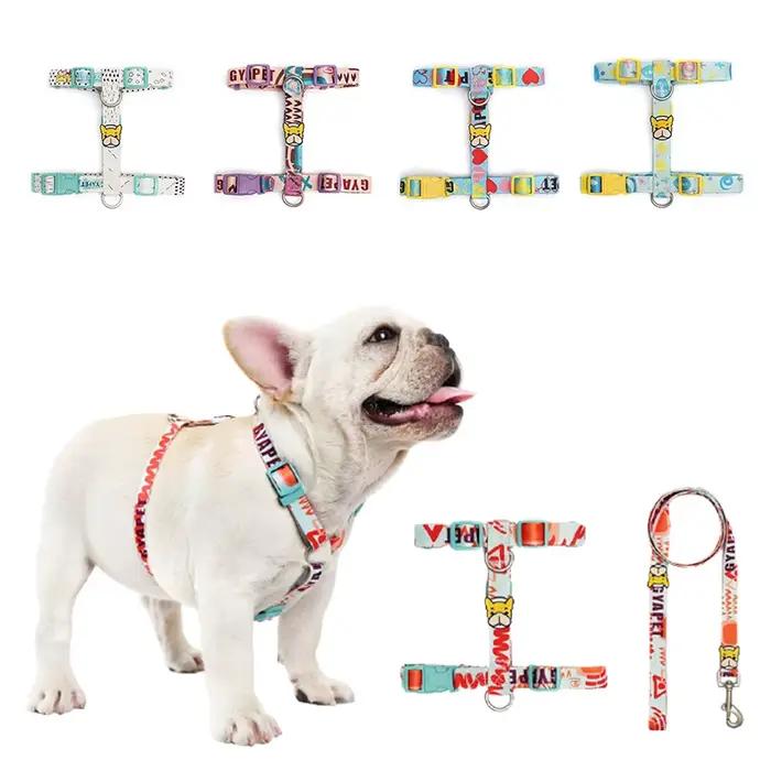 Ensemble SFP et laisse pour petits chiens