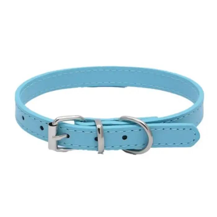 Collier pour chien multicolore simple