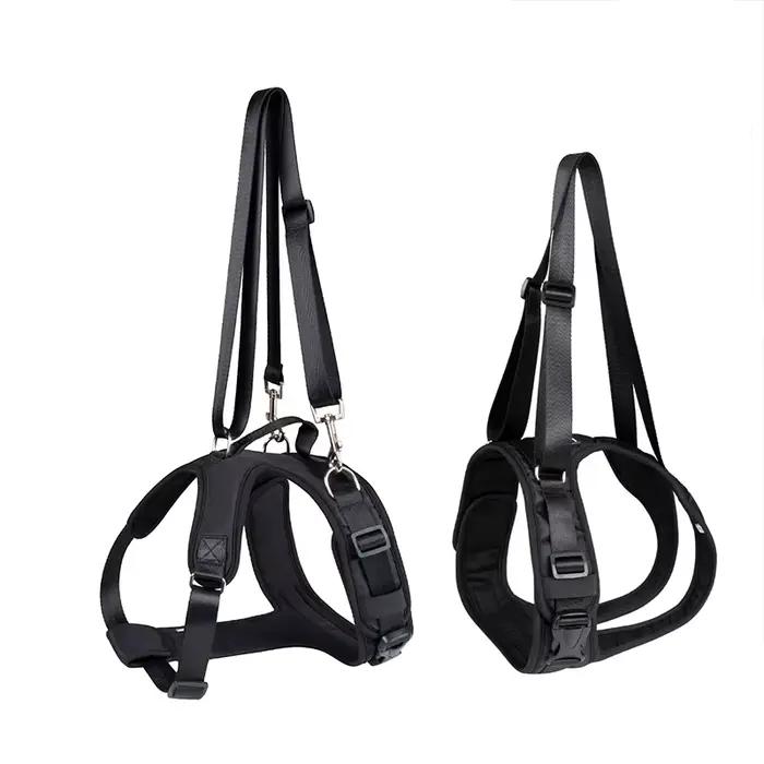 Ceinture auxiliaire pour chien handicapé