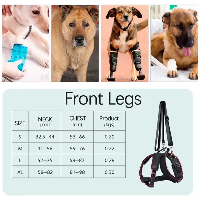 Ceinture auxiliaire pour chien handicapé