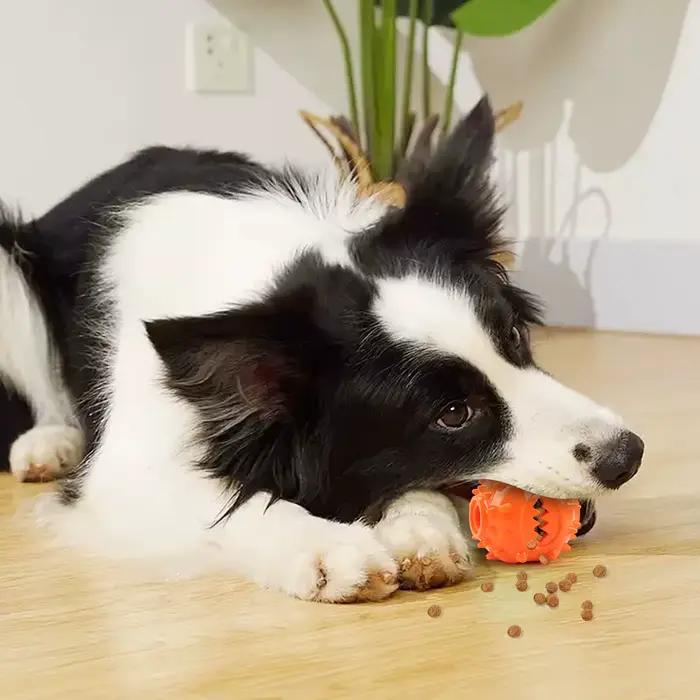Boule de distribution interactive pour friandises à mâcher pour chien