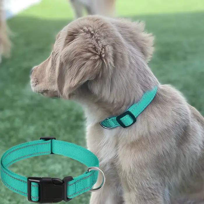 Collier en Nylon pour animaux de compagnie