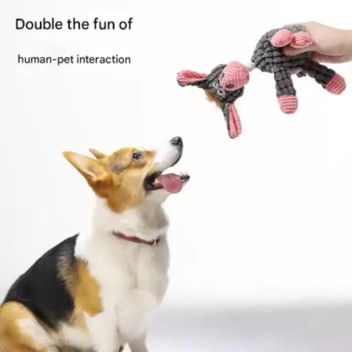 Nouveaux jouets à mâcher couineurs en peluche pour chiots