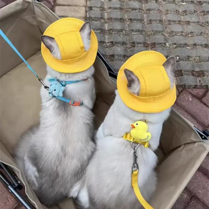 Chapeau mignon pour animaux de compagnie