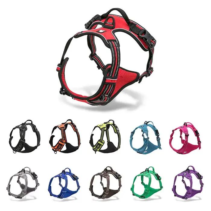 Truelove harnais pour animaux de compagnie en Nylon réfléchissant grand