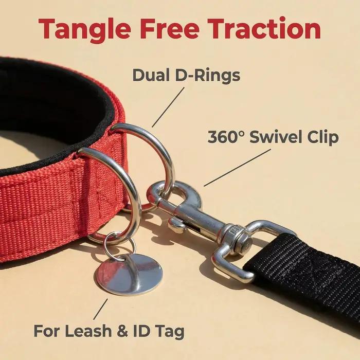 Collier anti-évasion pour chien
