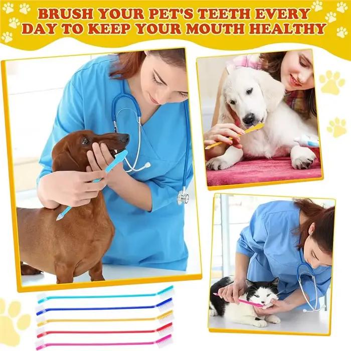 Brosse à dents pratique à double tête pour chien