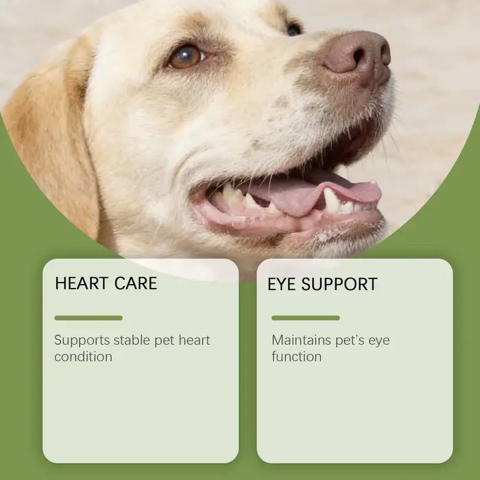 Poudre de Taurine pour Chiens Facile à Mélanger Soutient la Santé Cognitive Améliore la Luminosité du Pelage