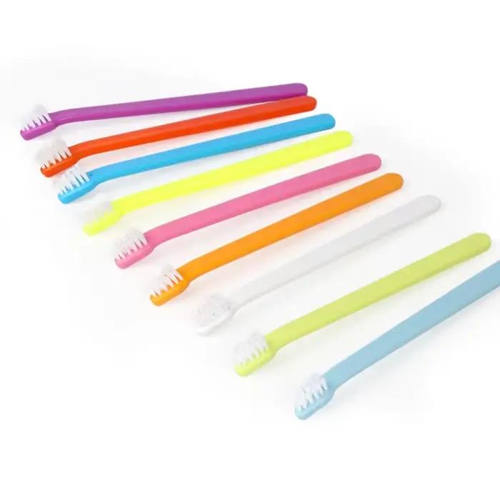Brosse à dents pour animaux de compagnie