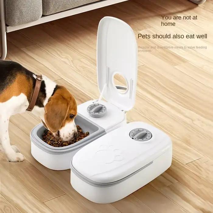 Mangeoire pour chien et chat