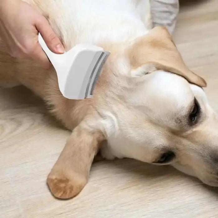 Brosse démêlante pour chiens et chats