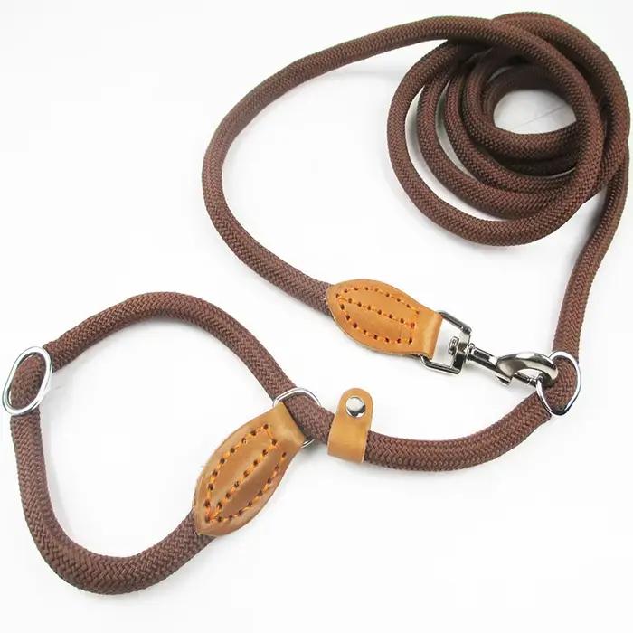 Laisse multifonctionnelle pour chien