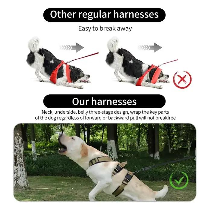 Harnais pour chien