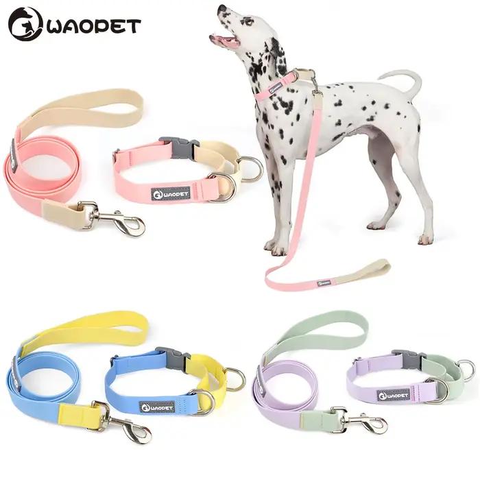 Laisse de collier imperméable conçue pour l'entraînement des chiens