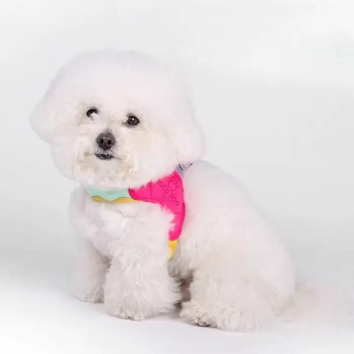 Harnais pour chien en forme de Y pour petit chien Shiba Inu
