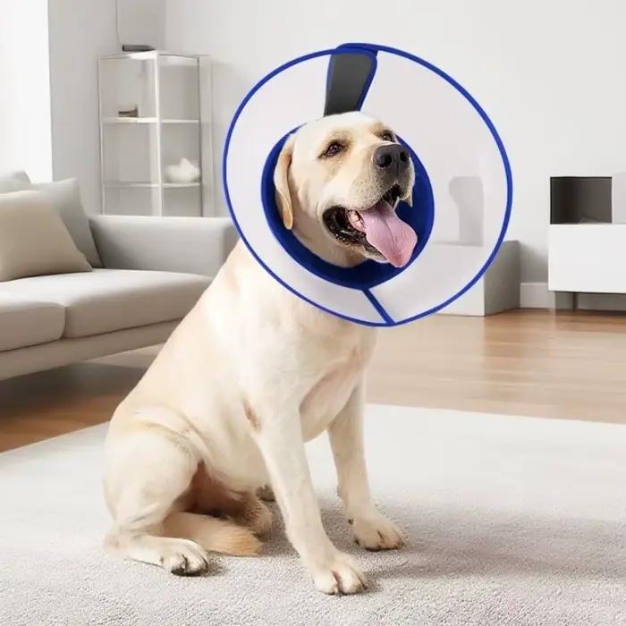 Collier élisabéthain respirant pour chien