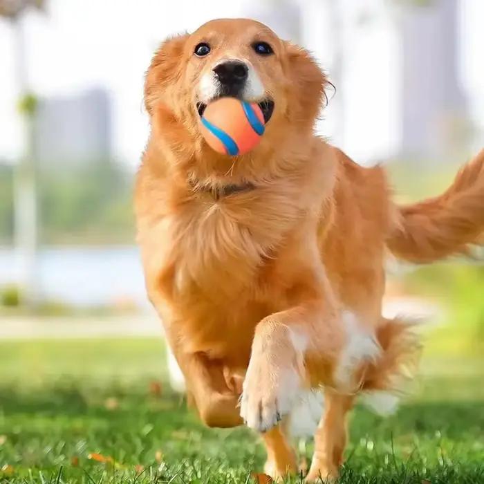 Balle de jouet pour chien