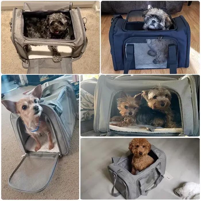 Sac de transport pour chien, sac à dos souple pour chat, sacs de voyage pour animaux de compagnie, approuvé par les compagnies aériennes, pour petits chiens et chats, pour les sorties
