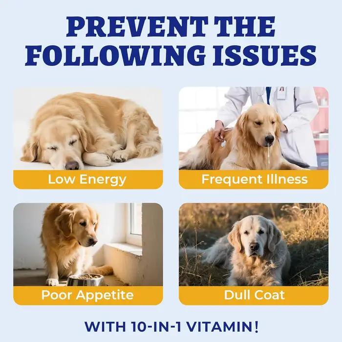 Multivitamines pour chien 150g