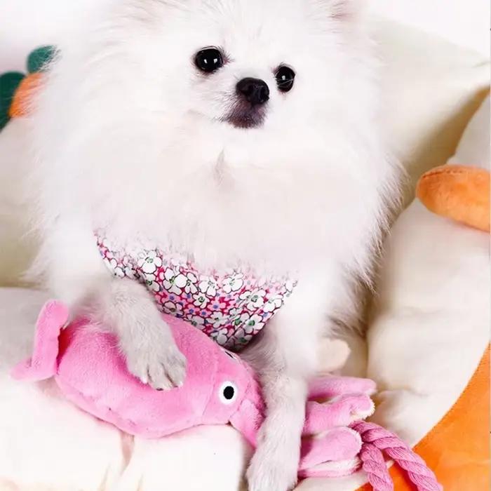 Jouet en peluche poulpe grinçant pour chien