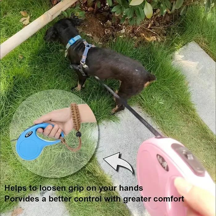 Laisse pour chien anti-chute avec sangle de poignet réglable
