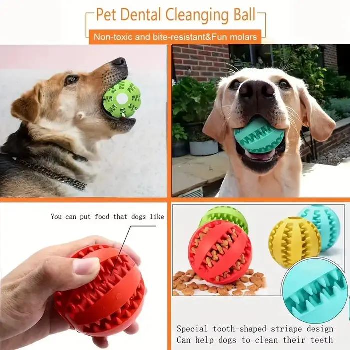 Distributeur de friandises pour animaux de compagnie