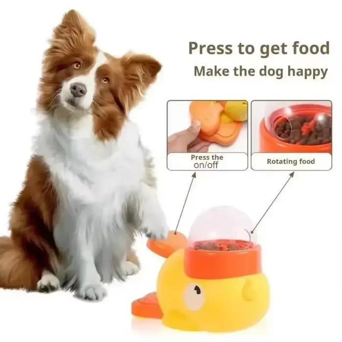 Fournitures pour animaux de compagnie