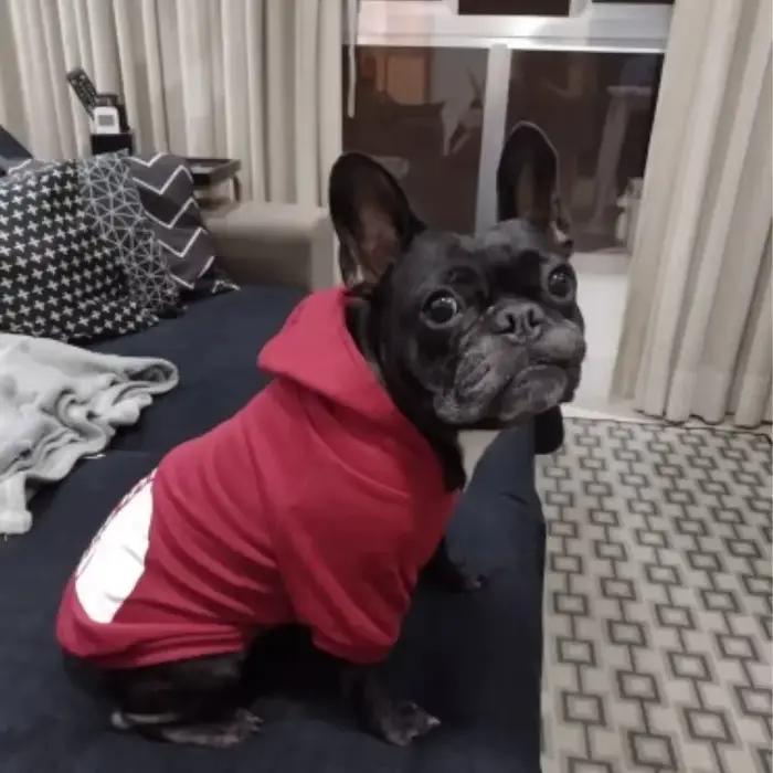 Sweat-shirts pour chiens de compagnie