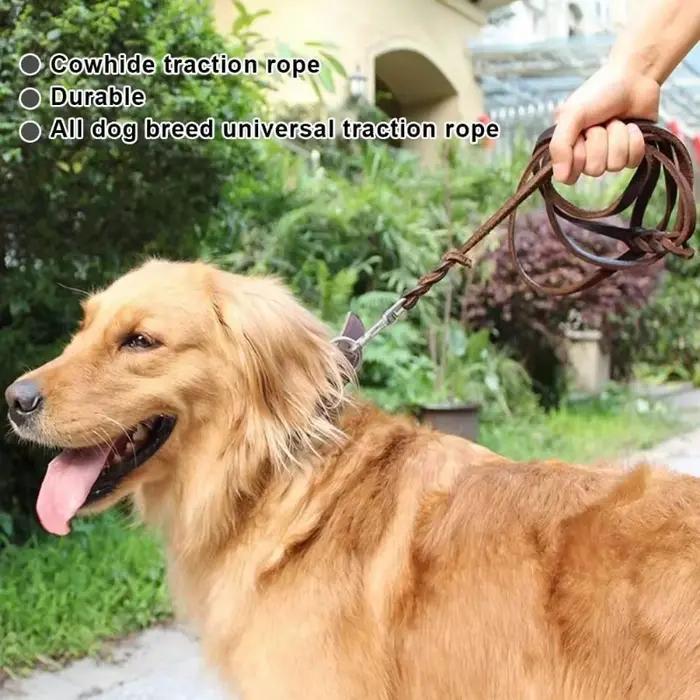 Laisse pour chien en cuir véritable