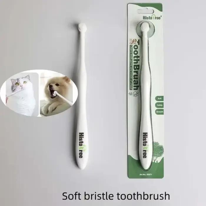 Brosse à dents à tête ronde pour chien