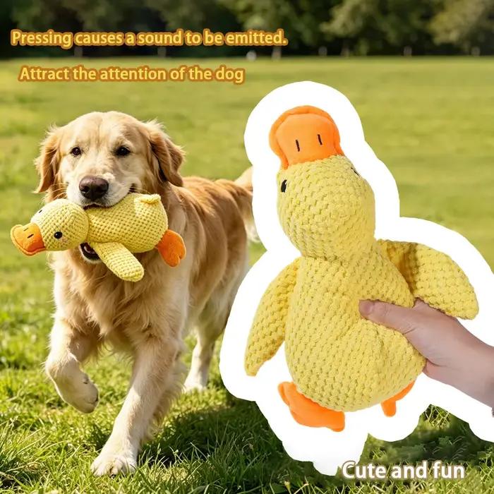 Jouet vocal pour chien