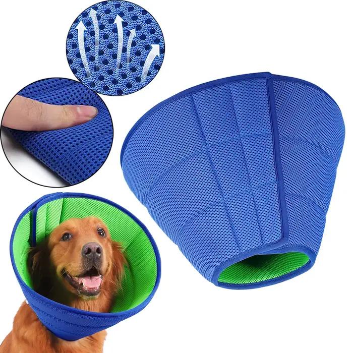 Collier conique pour chien
