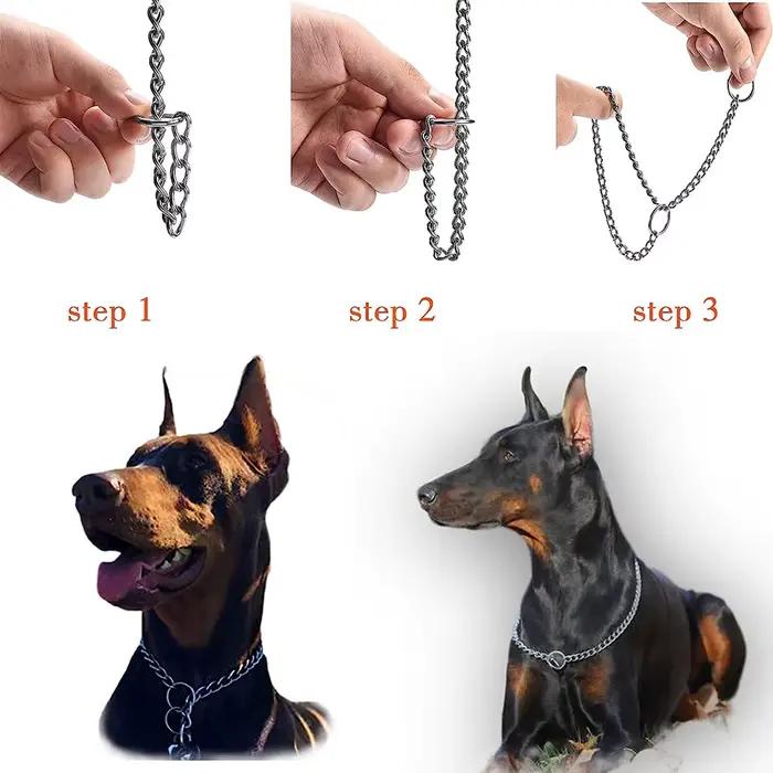 Collier de starter pour chien