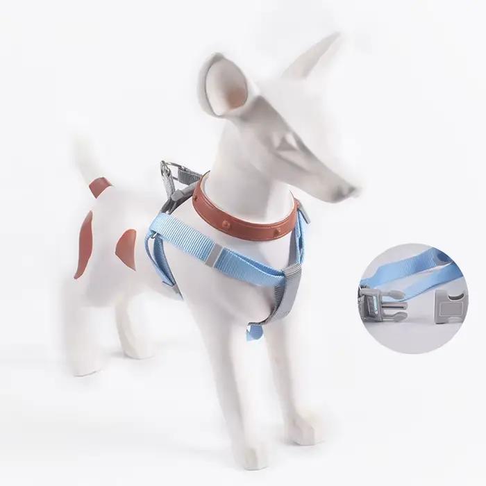 Laisse réglable en verre SFP pour petits chiens et chiots
