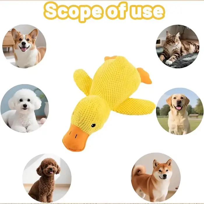 Jouet Canard Apaisant pour Chien