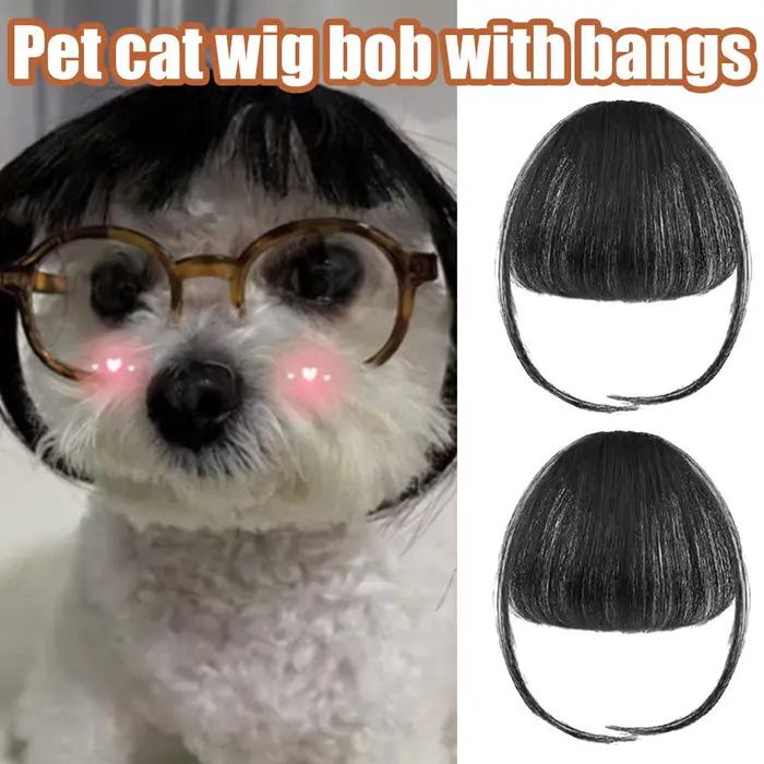 Nouvelle Perruque Amusante pour Chats et Chiens