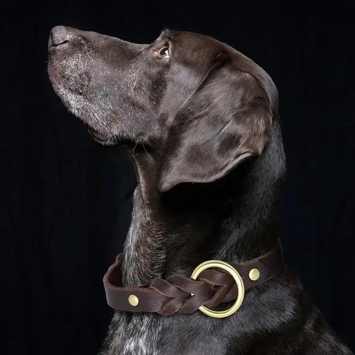 Collier de chien en cuir tressé avec anneau en D en laiton antirouille Durable collier en cuir véritable souple pour chiens produit de marche d'entraînement pour animaux de compagnie