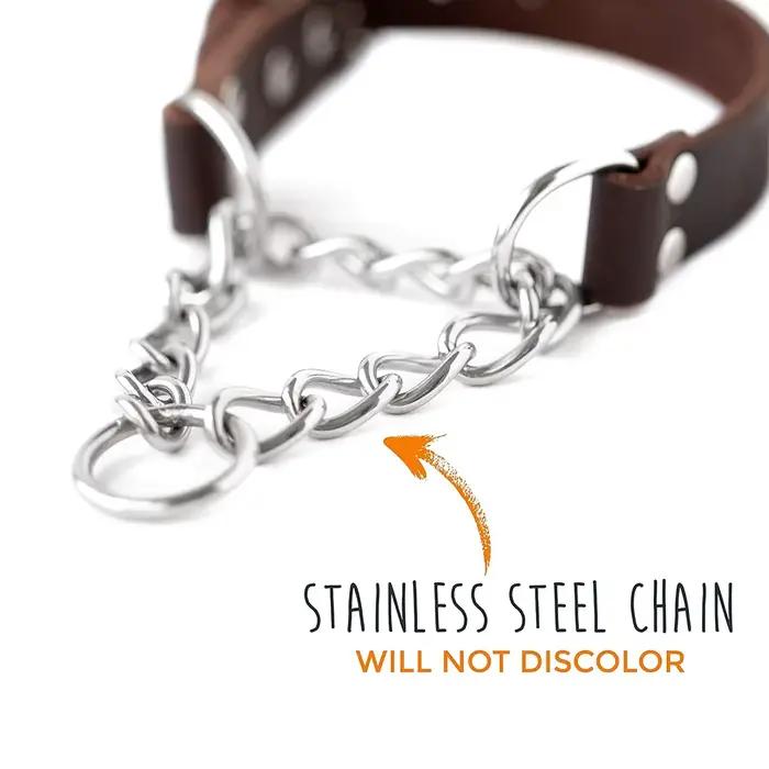 Collier de chien Martingale