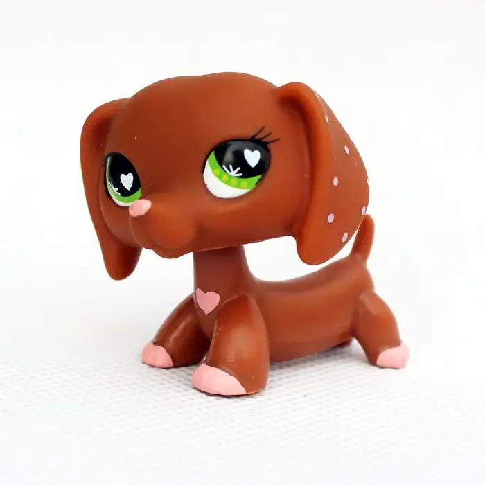 Jouets originaux pour animaux de compagnie