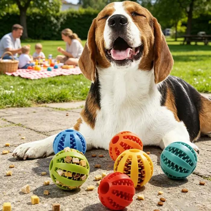 Balle de jeu pour chien