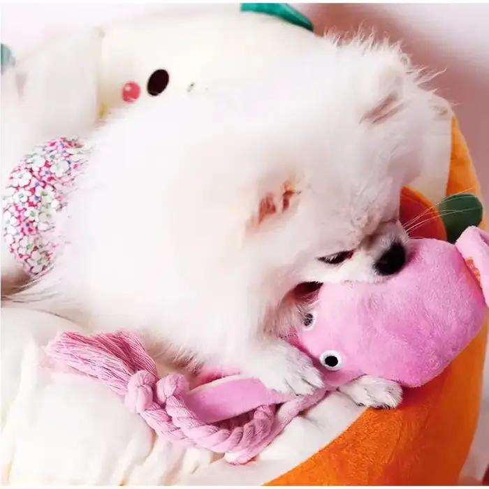 Jouet pour chien poulpe couineur