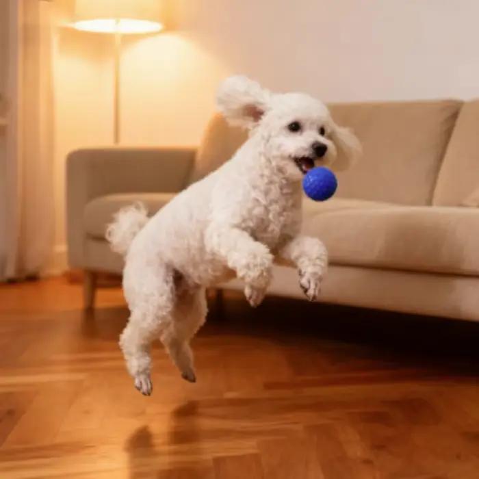 Balle en caoutchouc interactive indestructible pour chien
