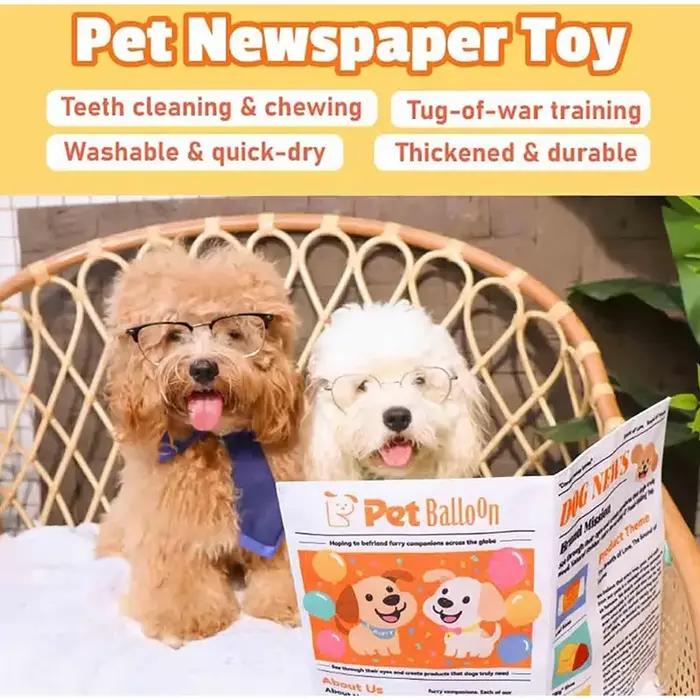 Jouet pour chien en forme de journal indestructible