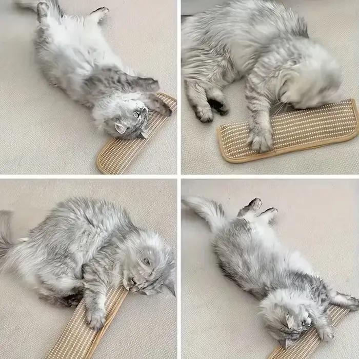 Coussin de jeu et griffoir pour chat pour le jeu individuel et l'interaction intime