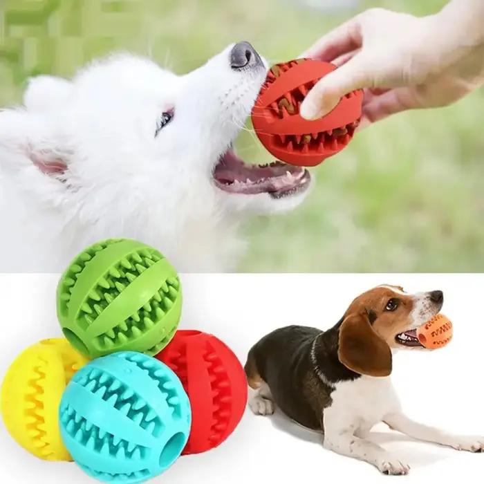 Balle de nourriture pour chien