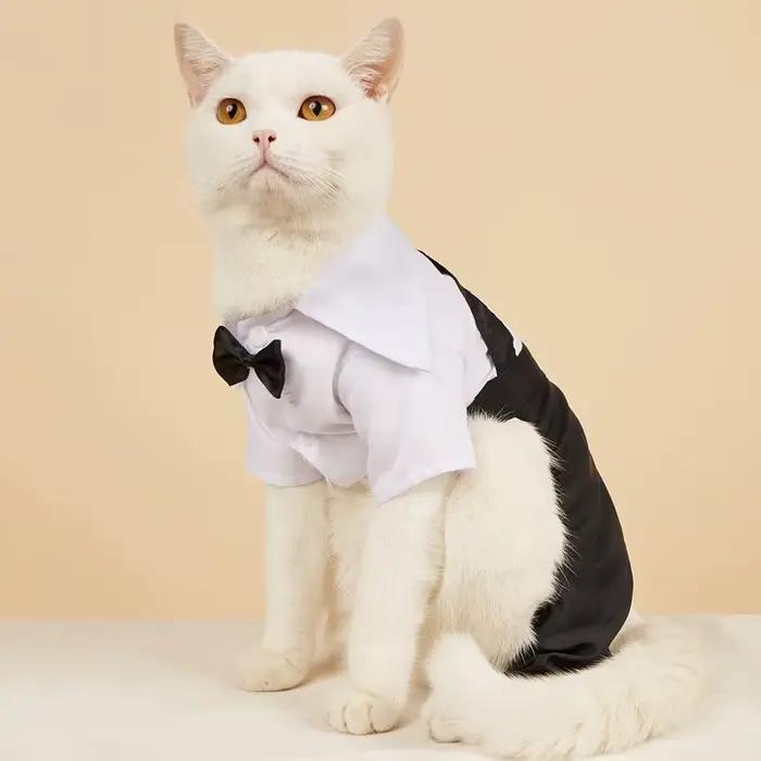 Vêtements pour petits chiens