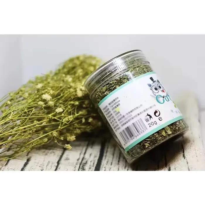 5-40g Herbe à chat biologique 100% naturelle