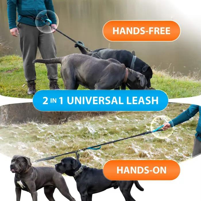 Laisse double mains libres pour chiens