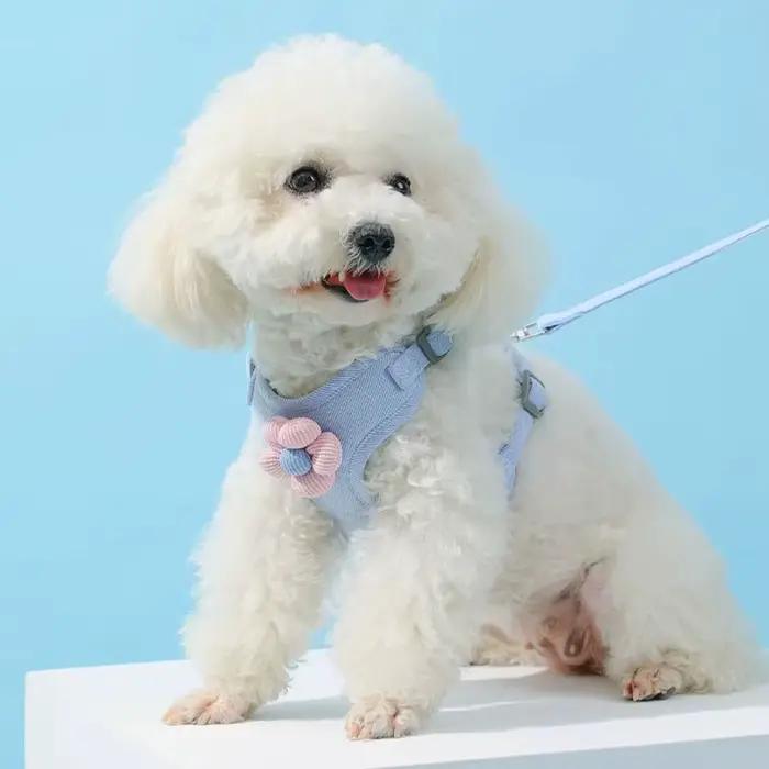 Harnais pour chien avec laisse de 1