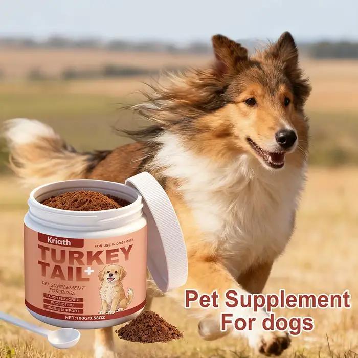 Complément alimentaire pour soutenir l'immunité des chiens – Défense immunitaire quotidienne